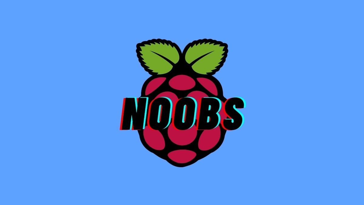 How To Install And Set Up Raspbian/Raspberry Pi OS Using NOOBS?